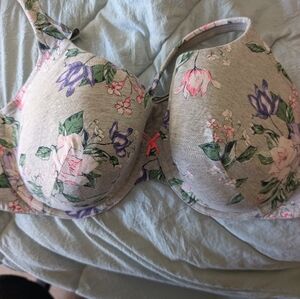 Cacique Gray Floral T-Shirt Bra with Pink and Purple Accents